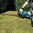 Makita UH6570 power hedge trimmer Double blade 550 W 3.8 kg Makita UH6570 power hedge trimmer Double blade 550 W 3.8 kg