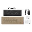 Lenovo Essential Wired Combo Black US Euro keyboard Mouse included Universal USB