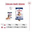 ROYAL CANIN Maxi Ageing Loaf - wet dog food - 410g