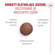 ROYAL CANIN Ageing 11+ - dry cat food - 4kg