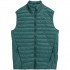 Men's vest 4F M062 green 4FAW23TVESM062 41S