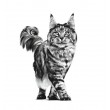 ROYAL CANIN Cat Gastrointestinal VHN - dry cat food - 400g