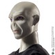 Harry Potter Lord Voldemort And Dolls Harry Potter Lord Voldemort And Dolls