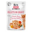 BRIT Care fillets in gravy box wet cat food 12x85g