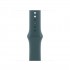 Apple Watch Sport Band for Watch 40mm Sea Green (S/M)