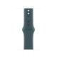 Apple Watch Sport Band for Watch 40mm Sea Green (S/M) Apple Watch Sport Band for Watch 40mm Sea Green (S/M)