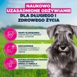 EUKANUBA Premium nutrition mature Small breed Chicken - dry dog food - 3kg EUKANUBA Premium nutrition mature Small breed Chicken - dry dog food - 3kg