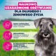 EUKANUBA Premium nutrition mature Small breed Chicken - dry dog food - 3kg