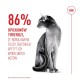 ROYAL CANIN Exigent Fussy - dry cat food - 4kg