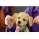 LEGO ICONS 11384 Golden Retriever Puppy LEGO ICONS 11384 Golden Retriever Puppy