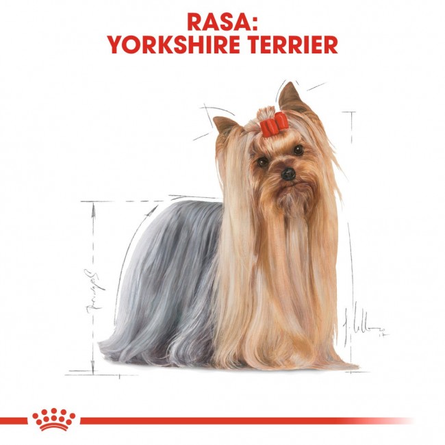 ROYAL CANIN Yorkshire Terrier Adult - dry dog food - 1,5 kg