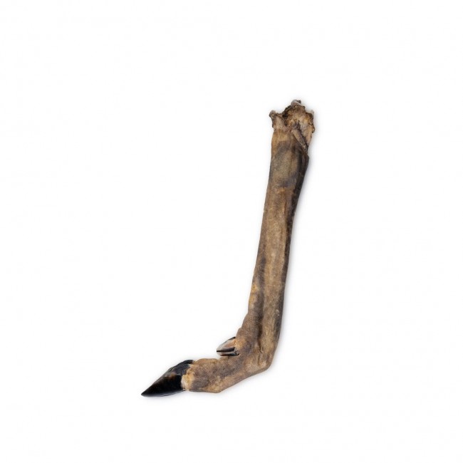 UNISZKI Roe deer hoof - dog treat - 1