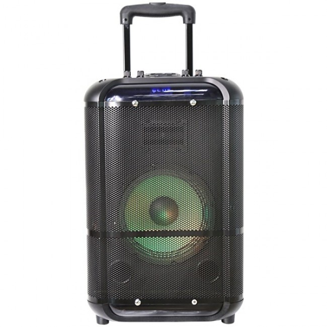 Denver TSP-306 Public Address (PA) speaker