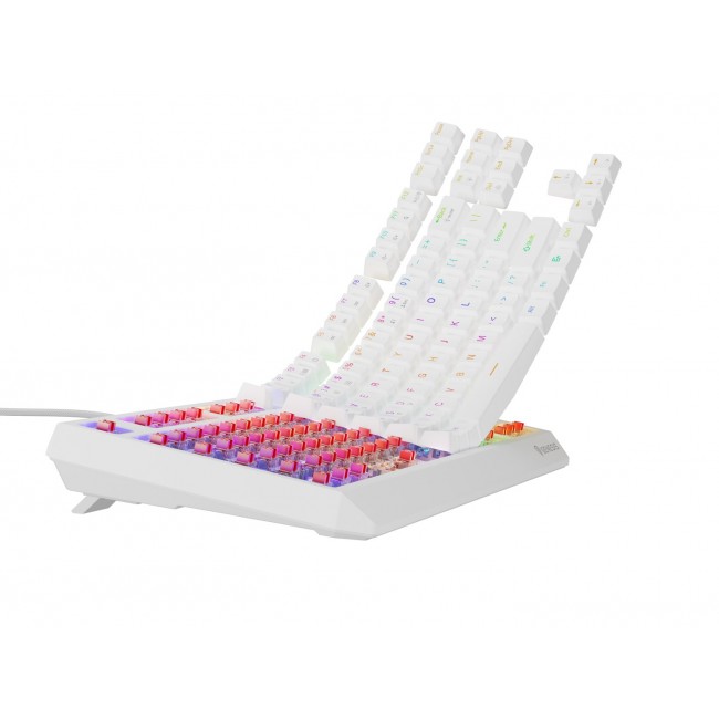 GENESIS Thor 230 TKL keyboard Gaming USB + RF Wireless + Bluetooth QWERTY US English White GENESIS Thor 230 TKL keyboard Gaming USB + RF Wireless + Bluetooth QWERTY US English White
