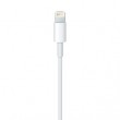 Apple Lightning to USB Cable (0.5 m) Apple Lightning to USB Cable (0.5 m)