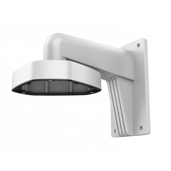 Hikvision DS-1273ZJ-DM25 security camera accessory Mount