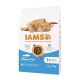 IAMS Advanced Nutrition Cat Adult Ocean Fish - dry cat food - 10 kg IAMS Advanced Nutrition Cat Adult Ocean Fish - dry cat food - 10 kg