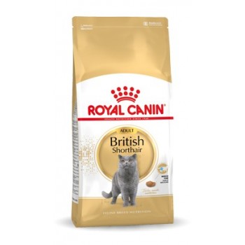 Royal Canin British Shorthair Adult cats dry food 4 kg