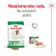 ROYAL CANIN Adult Mini S - dry dog food - 4kg ROYAL CANIN Adult Mini S - dry dog food - 4kg