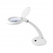 Rebel 6W Desk Magnifier Lamp (30x2835SMD)