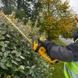 DeWALT DCM563P1-QW power hedge trimmer Single blade 3.4 kg DeWALT DCM563P1-QW power hedge trimmer Single blade 3.4 kg