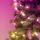 Twinkly pre-lit wreath 50 RGB LED Green wire Plug type C Twinkly pre-lit wreath 50 RGB LED Green wire Plug type C