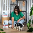 VETEXPERT Raw Paleo Ultra Mini Adult Beef - dry dog food - 2 kg
