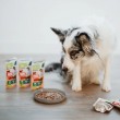 ANIMAL ISLAND Beef Fillets in broth - wet dog food - 10x150g