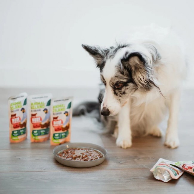 ANIMAL ISLAND Beef Fillets in broth - wet dog food - 10x150g ANIMAL ISLAND Beef Fillets in broth - wet dog food - 10x150g