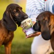 VETEXPERT Raw Paleo Adult Monoprotein Duck - wet dog food - 800 g
