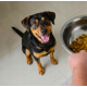 BUTCHER'S Original Beef - dry dog food - 10kg