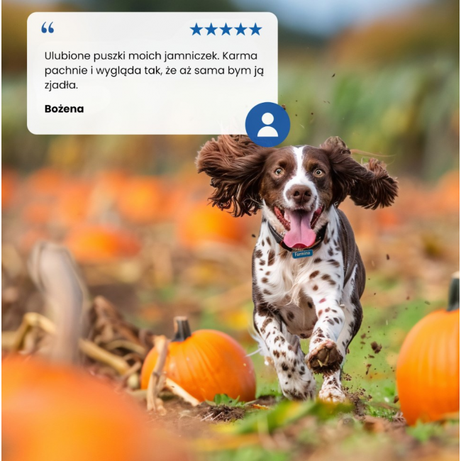 FARMINA N&D DOG LAMB&PUMPKIN&BLUEBERRY PUPPY 285g