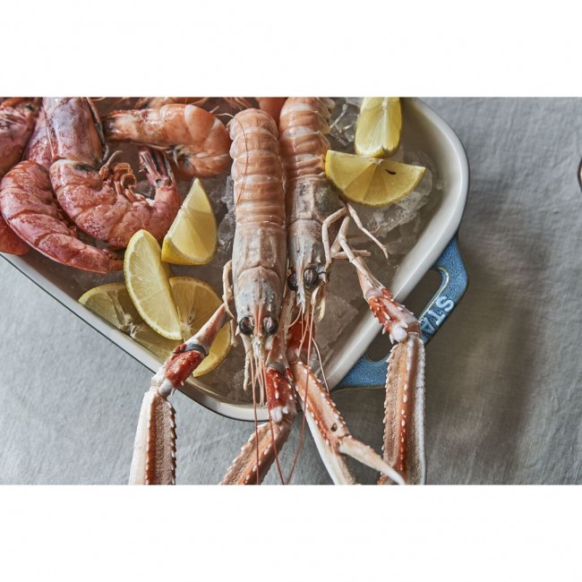 ZWILLING STAUB Ceramics Rectangular Ceramic Au gratin baking dish