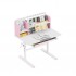 Desk Study 5.0 Pink
