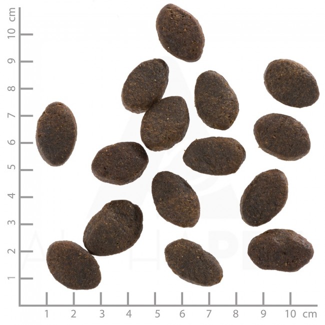 WOLFSBLUT Wild Pacific Fish with potatoes - dry dog food - 12,5kg WOLFSBLUT Wild Pacific Fish with potatoes - dry dog food - 12,5kg