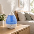 Esperanza EHA005 Air humidifier 2,6L