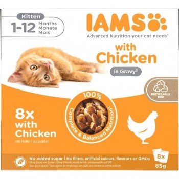 IAMS DELIGHTS Kitten in Gravy box wet cat food 8x85g