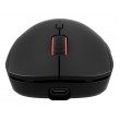 GENESIS Zircon XIII mouse Gaming Ambidextrous RF Wireless + USB Type-C Optical 26000 DPI