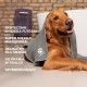 Vileda PET PRO M microfibre pet towel Vileda PET PRO M microfibre pet towel