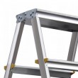 AWTOOLS AW23031 ladder