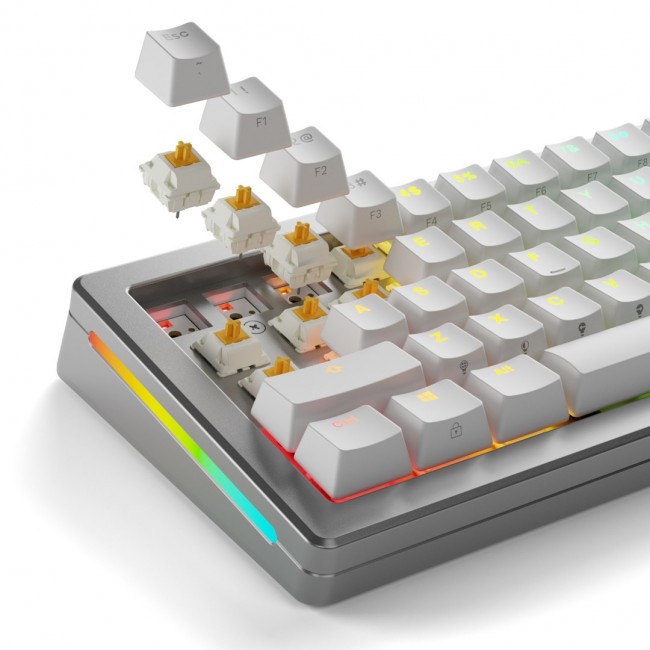 Glorious Gaming Glorious Panda Tactile Mechanical Switches - 36 Pieces Glorious Gaming Glorious Panda Tactile Mechanical Switches - 36 Pieces