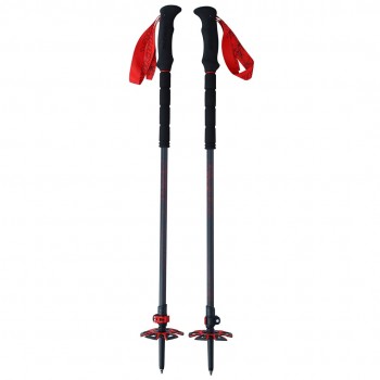 Viking Poles Spider Skitouring