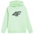 Boys' sweatshirt 4F light green 4FJSS23TSWSM220 42S 146cm