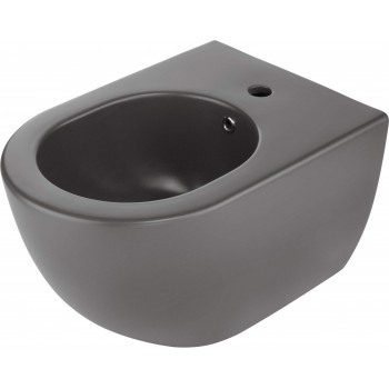 Wall-mounted bidet