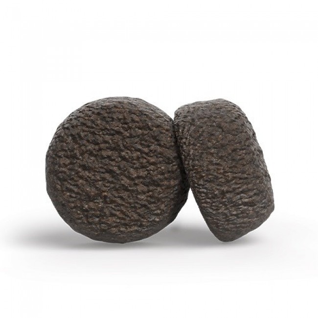 JOSERA Adult Festival Salmon & Chicken - dry dog food - 900g