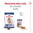 ROYAL CANIN Maxi Adult 5+ - dry dog food - 15 kg