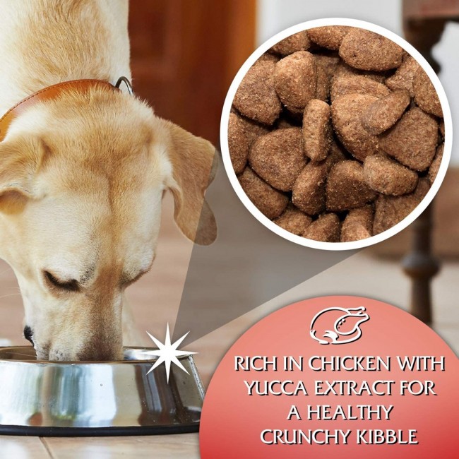 GILPA Kennel - dry dog food - 15kg