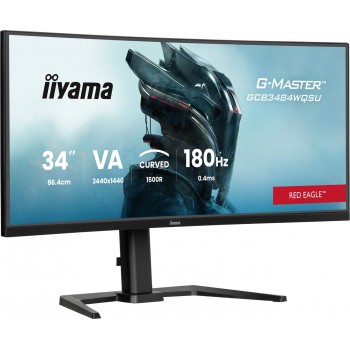 IIYAMA 34