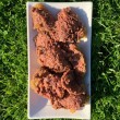 OLLO Pure Beef and Green tripe - wet dog food - 850g