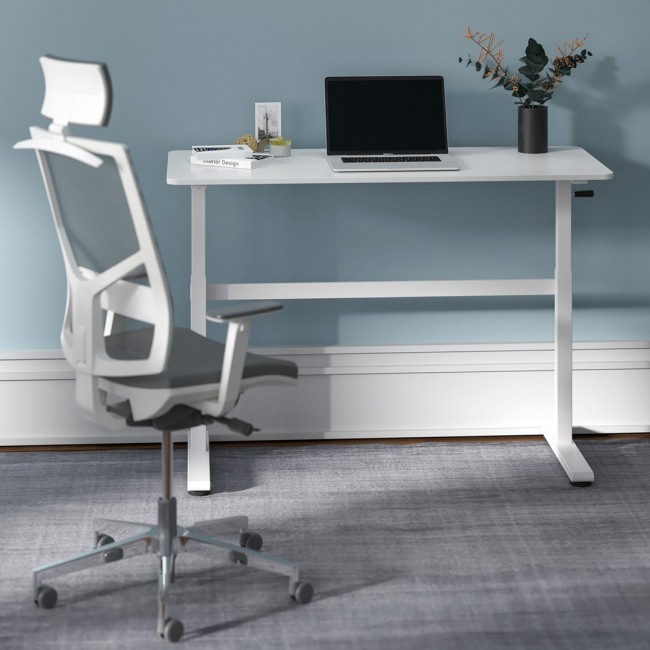Manual height adjustable desk Ergo Office, max 40 kg, max height 117cm, with a top for standing and sitting work, ER-401 W